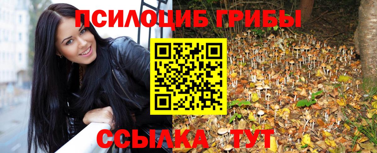 Псилоцибиновые грибы Psilocybine cubensis  Вход с VPN  Златоуст 