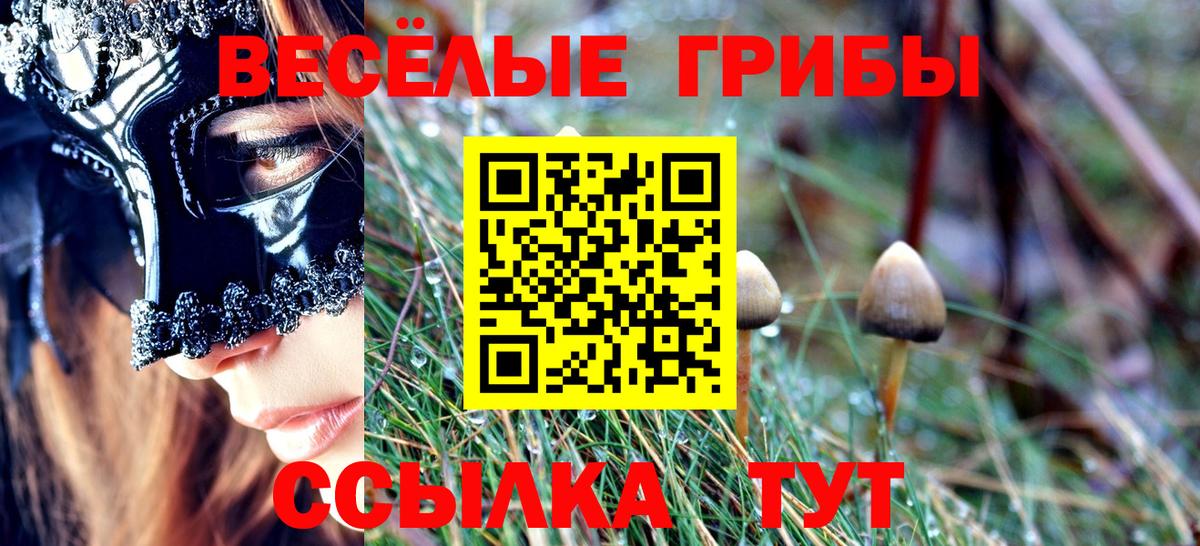 Галлюциногенные грибы GOLDEN TEACHER Златоуст